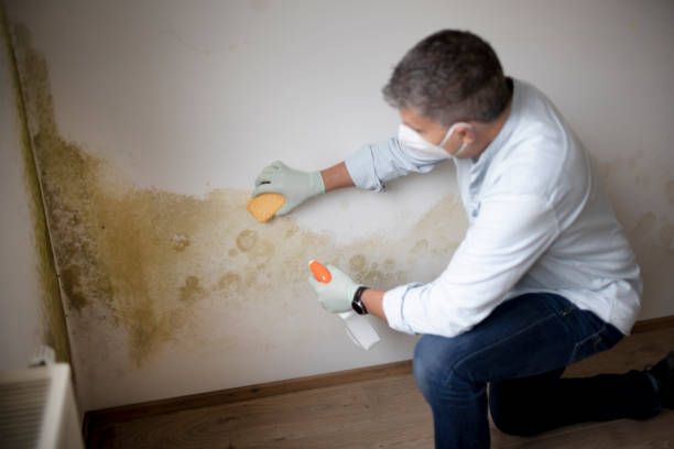 Mold Remediation for Rental Properties in Varnell, GA