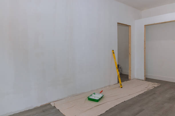 Best Attic Mold Removal  in Varnell, GA