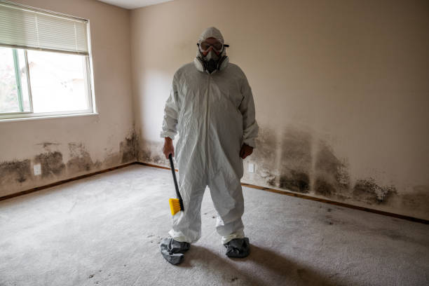 Best Airborne Mold Testing  in Varnell, GA